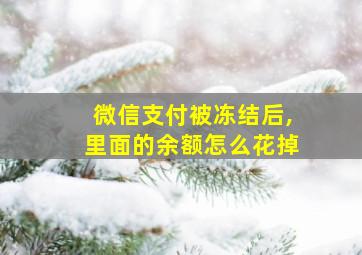 微信支付被冻结后,里面的余额怎么花掉