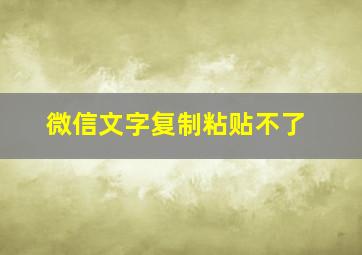 微信文字复制粘贴不了