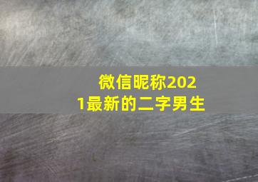 微信昵称2021最新的二字男生