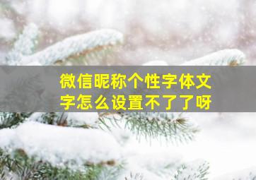 微信昵称个性字体文字怎么设置不了了呀