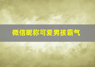 微信昵称可爱男孩霸气