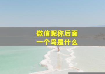 微信昵称后面一个鸟是什么