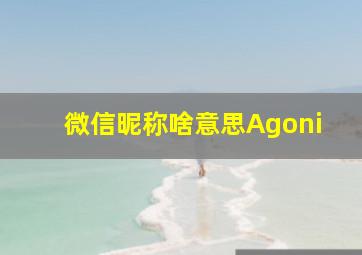 微信昵称啥意思Agoni