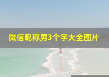 微信昵称男3个字大全图片