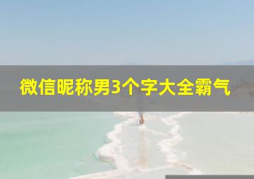 微信昵称男3个字大全霸气