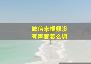 微信来视频没有声音怎么调