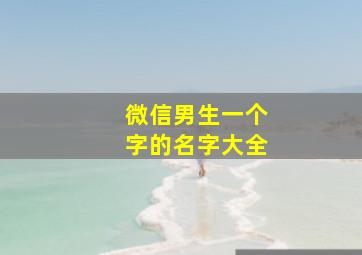 微信男生一个字的名字大全