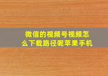 微信的视频号视频怎么下载路径呢苹果手机