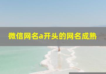 微信网名a开头的网名成熟