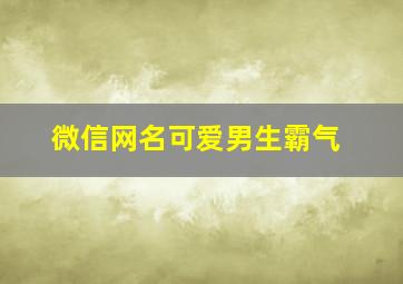 微信网名可爱男生霸气