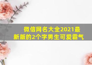 微信网名大全2021最新版的2个字男生可爱霸气