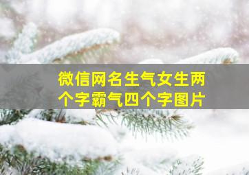 微信网名生气女生两个字霸气四个字图片