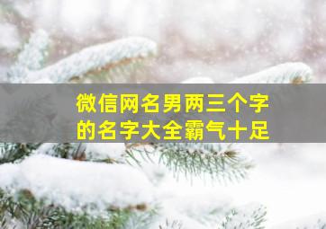 微信网名男两三个字的名字大全霸气十足