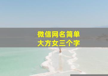 微信网名简单大方女三个字