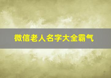 微信老人名字大全霸气