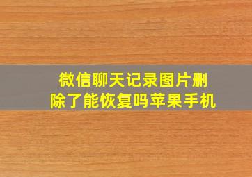 微信聊天记录图片删除了能恢复吗苹果手机