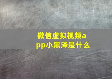 微信虚拟视频app小黑泽是什么