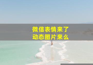 微信表情来了动态图片来么