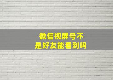 微信视屏号不是好友能看到吗