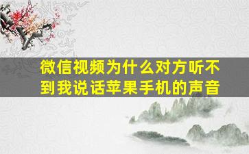 微信视频为什么对方听不到我说话苹果手机的声音