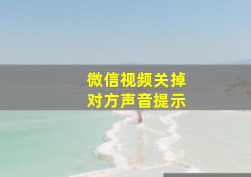 微信视频关掉对方声音提示