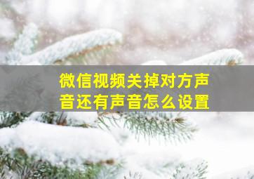 微信视频关掉对方声音还有声音怎么设置