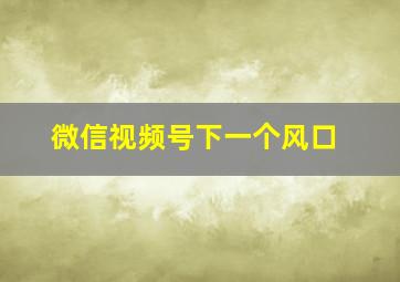 微信视频号下一个风口