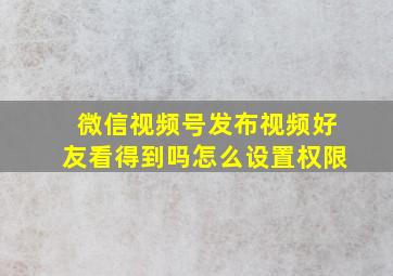 微信视频号发布视频好友看得到吗怎么设置权限