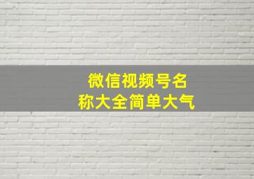 微信视频号名称大全简单大气