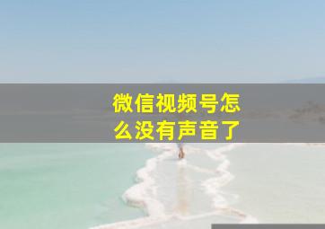 微信视频号怎么没有声音了