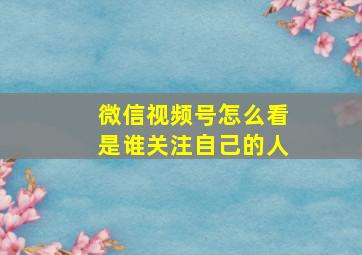 微信视频号怎么看是谁关注自己的人