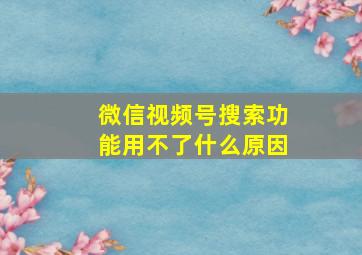 微信视频号搜索功能用不了什么原因