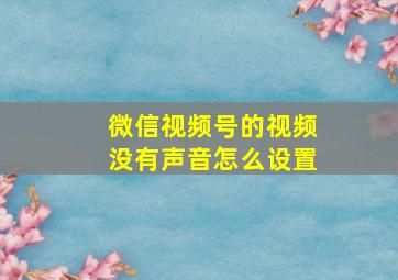 微信视频号的视频没有声音怎么设置