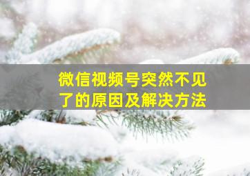 微信视频号突然不见了的原因及解决方法