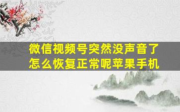 微信视频号突然没声音了怎么恢复正常呢苹果手机