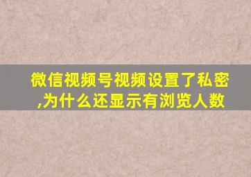 微信视频号视频设置了私密,为什么还显示有浏览人数