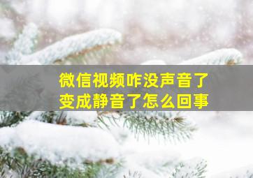 微信视频咋没声音了变成静音了怎么回事