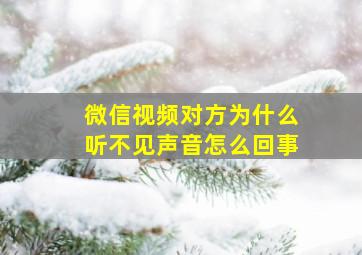 微信视频对方为什么听不见声音怎么回事