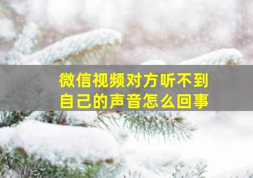 微信视频对方听不到自己的声音怎么回事