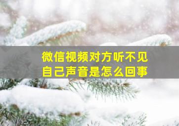 微信视频对方听不见自己声音是怎么回事