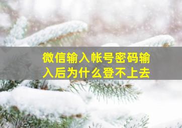 微信输入帐号密码输入后为什么登不上去