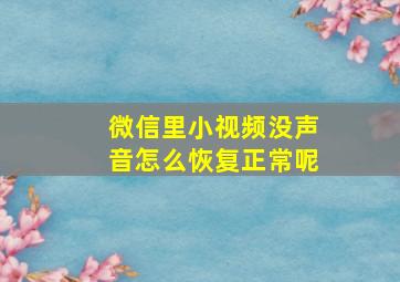 微信里小视频没声音怎么恢复正常呢