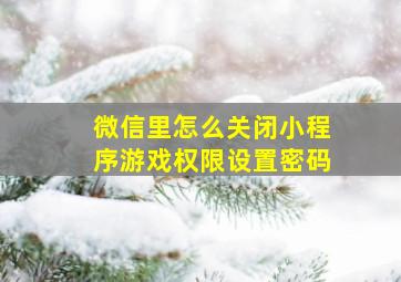 微信里怎么关闭小程序游戏权限设置密码