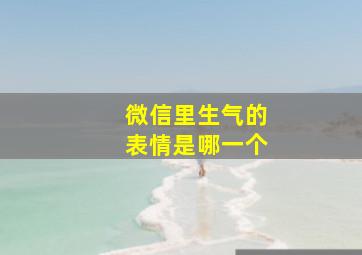 微信里生气的表情是哪一个