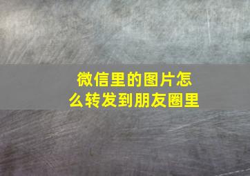 微信里的图片怎么转发到朋友圈里