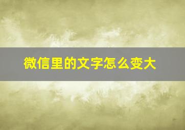 微信里的文字怎么变大