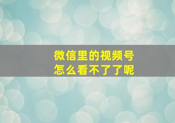 微信里的视频号怎么看不了了呢