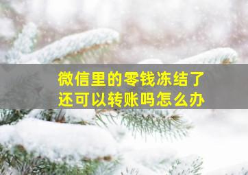 微信里的零钱冻结了还可以转账吗怎么办