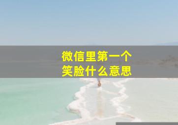 微信里第一个笑脸什么意思