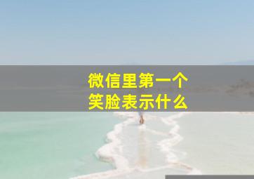 微信里第一个笑脸表示什么